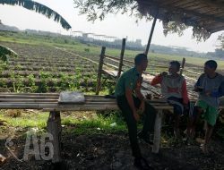 Babinsa Koramil 0817/01 Driyorejo, Beri Pesan Semangat Kerja Petani Binaan