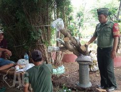 Memotivasi Usaha Masyarakat Binaan, Serka Hasyim Kunjungi Petani Bonsai