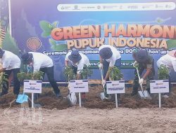 Mendukung Indonesia Menuju Net Zero Emission Petrokimia Gresik Bantu 1250 Pohon Mangga