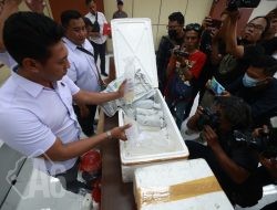 Ditpolairud Polda Jatim Ungkap Jual Beli Benih Lobster Ilegal di Banyuwangi, Dua Tersangka Diamankan