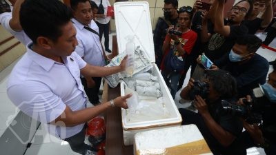 Ditpolairud Polda Jatim Ungkap Jual Beli Benih Lobster Ilegal di Banyuwangi, Dua Tersangka Diamankan