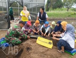 Pendampingan Babinsa Driyorejo Bersama Kelompok Tani Wanita Tanam Kangkung