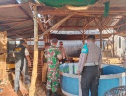 Giliran Lokasi Judi Sabung Ayam di Panceng Gresik Digrebek Polisi