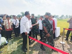 Danrem 084/Bhaskara Jaya Menghadiri Panen Raya Padi Serentak di 14 Provinsi Bersama Presiden RI Prabowo Subianto