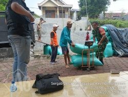 Komitmen Pendampingan Babinsa Wringinanom Kawal Hasil Panen Petani