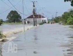 Akibat Hujan Deras di wilayah Hulu, Kali Lamong Meluap Banjir Tak Dapat Dihindari