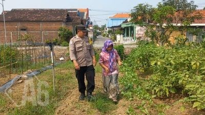 Dukung Ketahanan Pangan, Polsek Cerme Tinjau Tanaman Sawi dan Terong di Pekarangan Warga Desa Ngabetan
