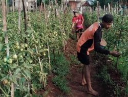 Berlari Bersama PBB Demi Kemaslahatan Umat