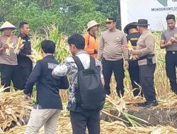 Asta Cita Ketahanan Pangan Panen Raya Jagung Kuartal III Polsek Pakal Polrestabes Surabaya