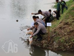 Jaga Ekosistem Sungai Polres Tulungagung Tebar 5.000 Benih Ikan Tombro di Boyolangu