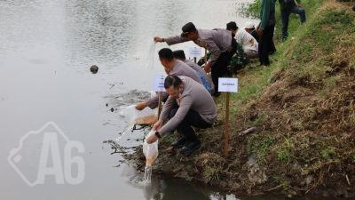 Jaga Ekosistem Sungai Polres Tulungagung Tebar 5.000 Benih Ikan Tombro di Boyolangu