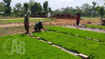 Wujud Dukungan Ketahanan Pangan, Babinsa Sidayu Terjun Bantu Petani di Sawah