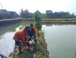 Babinsa Aktif Dukung Ketahanan Pangan, Bantu Petani Manfaatkan Brigade Pompa