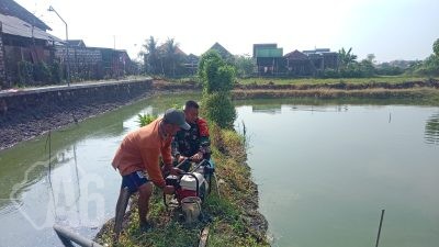 Babinsa Aktif Dukung Ketahanan Pangan, Bantu Petani Manfaatkan Brigade Pompa