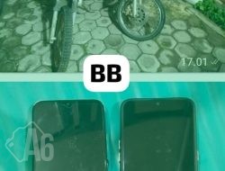 Curi Motor di Gemenggeng, Dua Pelaku dan Penadah Diringkus Polisi