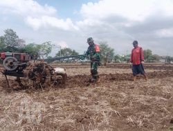 Sukseskan Swasembada Pangan, Serma Syahrul Bantu Petani Membajak Sawah