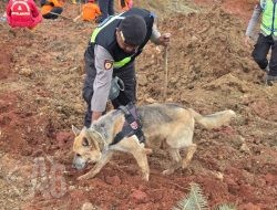Polri Kerahkan Anjing Pelacak dalam Pencarian Korban Longsor Cilacap