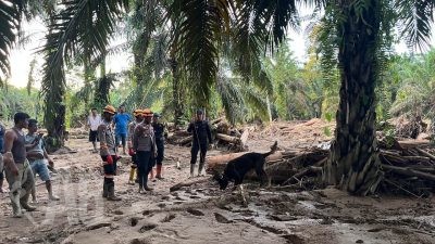 Den K9 Ditpolsatwa Baharkam Polri Berhasil Temukan Satu Korban Bencana Alam di Batang Toru, Sumatera Utara