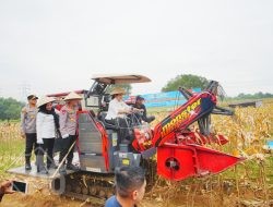 Kapolri-Ketua Komisi IV Pimpin Panen Raya Jagung Serentak, Wujud Nyata Dukung Ketahanan Pangan Nasional