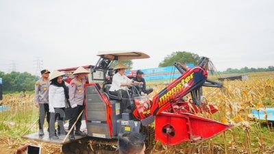 Kapolri-Ketua Komisi IV Pimpin Panen Raya Jagung Serentak, Wujud Nyata Dukung Ketahanan Pangan Nasional