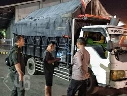 Karantina Jawa Timur Gagalkan Penyelundupan Enam Ekor Kuda Pacu di Pelabuhan Tanjung Wangi