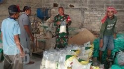 Pastikan Ketersediaan Pangan, Babinsa Cerme Tinjau Stok Gabah dan Beras di Penggilingan Desa Kandangan