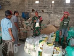 Pastikan Ketersediaan Pangan, Babinsa Cerme Tinjau Stok Gabah dan Beras di Penggilingan Desa Kandangan