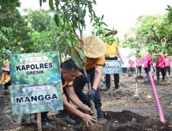 Peduli Lingkungan, Polres Gresik Bersama Bhayangkari Tanam Puluhan Pohon Produktif
