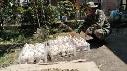 Satgas TMMD Ke-128 Dorong UMKM Desa Slempit, Sertu Bambang Bantu Produksi Celengan