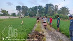 Kerja Bakti Gotong Royong Secara Swadaya Perbaikan Jalan Makam Yang Rusak Parah